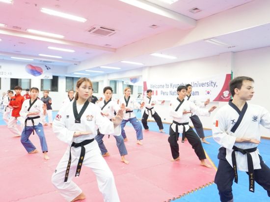 テコンドー体験教室 韓国代表出身の師範が指導！初心者にもおすすめの手ぶらでテコンドー体験＜江南・ヤンジェ駅／韓国語＆英語＞