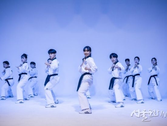 テコンドー体験教室 韓国代表出身の師範が指導！初心者にもおすすめの手ぶらでテコンドー体験＜江南・ヤンジェ駅／韓国語＆英語＞