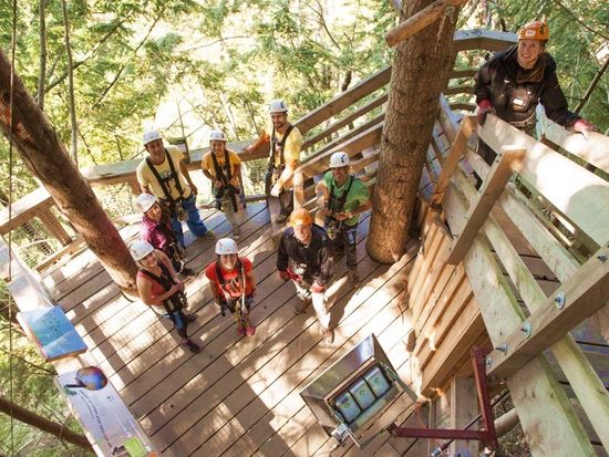 【Kea 6-Line Tour】Ziptrek Ecotours Treehouse Guests looking up