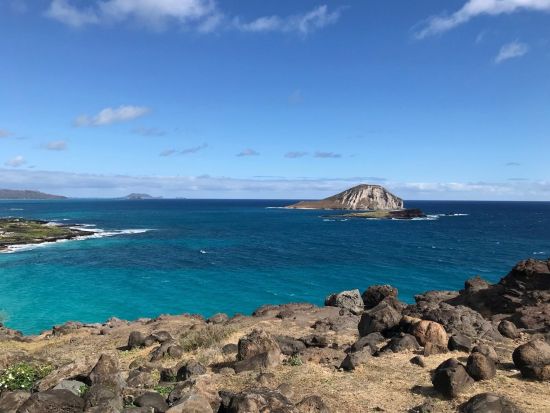 オアフ島1日観光　ノースショア観光＆ショッピング　ハレイワ＋ドールプランテーション等　ランチはロミーズのガーリックシュリンプ！マラサダ付き＜月・金曜限定＞