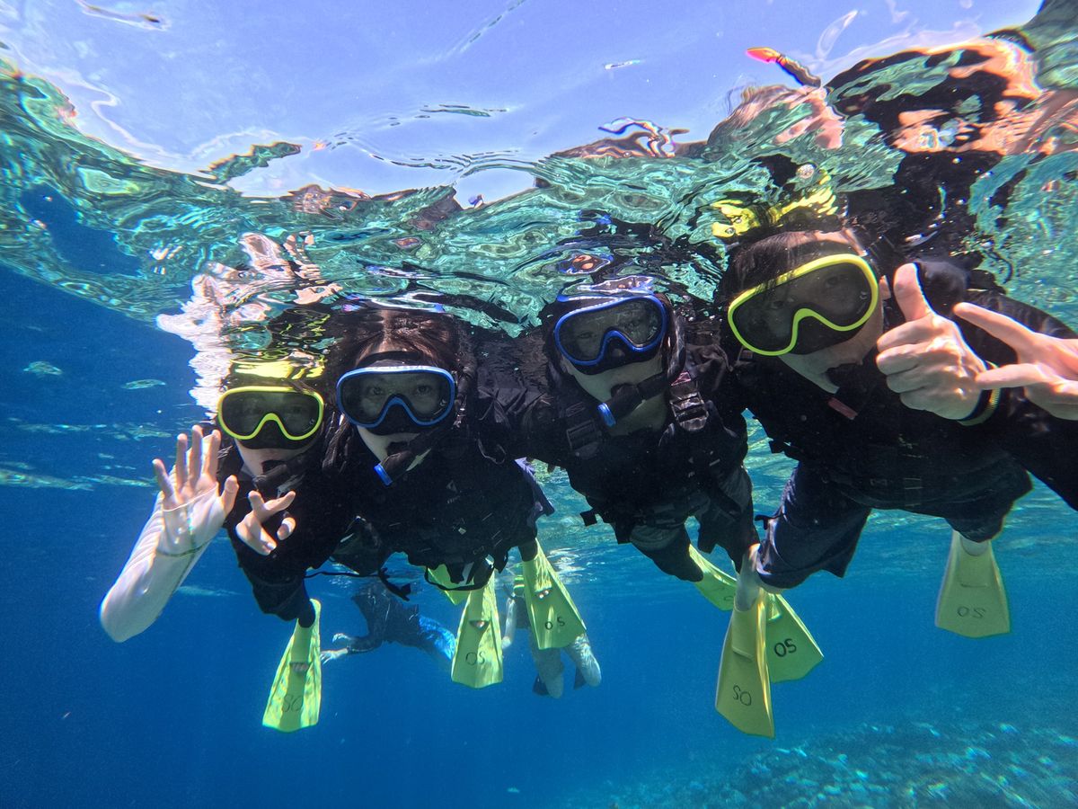 瀬底島シュノーケリング 「瀬底島開催」ウミガメの棲む海で開催