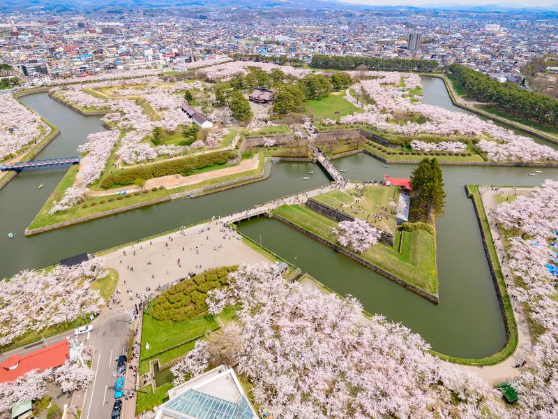 五稜郭公園①