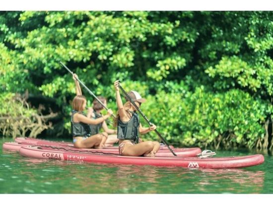 マングローブSUPツアー 日本最大級の亜熱帯自然を満喫！迫力のクルージングを楽しもう♪ANAグループ機内誌「翼の王国」掲載＜約2時間／現地集合おすすめ／石垣島＞