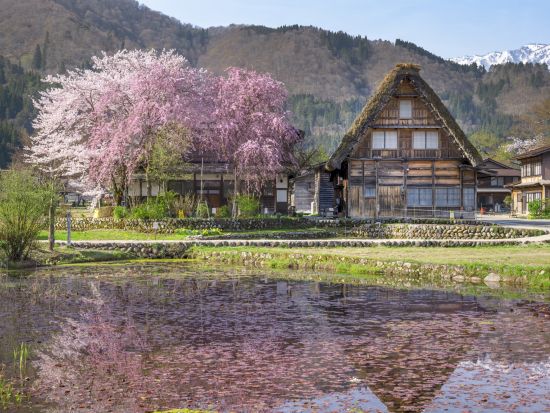 英語・中国語・日本語バスツアー歴史と伝統を旅する 郡上八幡 飛騨高山 白川郷 3古都巡り＜名古屋発／1名様から出発／毎日催行＞