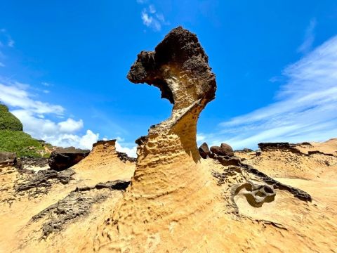 【3月～5月限定】春の北海岸の絶景ツアー　老梅緑石槽＋野柳＋淡水老街　＊地元名物「劉家ちまき」の昼食付き＜1日／日本語ガイド＞ by JTB