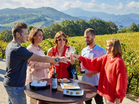 バスクワイン「チャコリ」ワイナリー半日ツアー＜英語ガイド／試飲＆おつまみ付き／サン・セバスチャン発＞