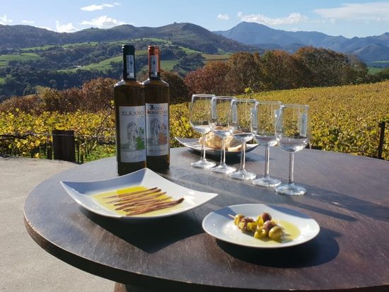 GETARIA TXAKOLI WINE TOUR FROM SAN SEBASTIAN (2)