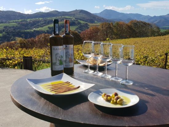 バスクワイン「チャコリ」ワイナリー半日ツアー＜英語ガイド／試飲＆おつまみ付き／サン・セバスチャン発＞