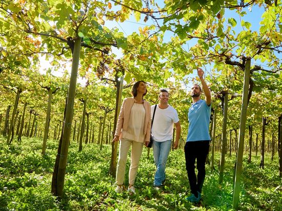 GETARIA TXAKOLI WINE TOUR FROM SAN SEBASTIAN (7)