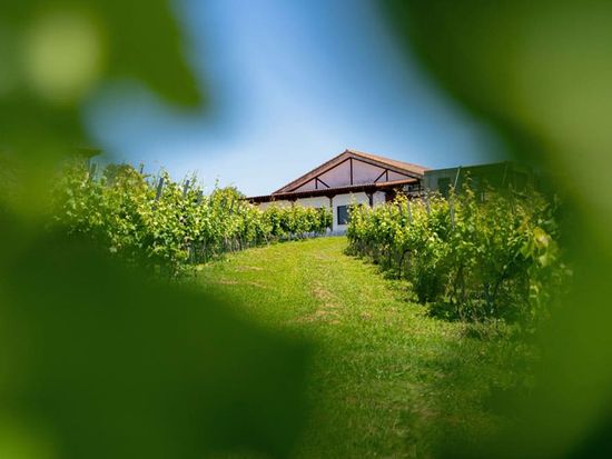 BILBAO TXAKOLI WINE TOUR (4)