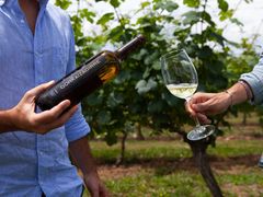 BILBAO TXAKOLI WINE TOUR (5)