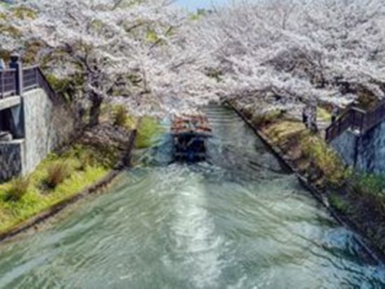 京阪線全線＆参道ケーブル1日フリーパス 京阪線全線が1日乗り放題！京阪沿線観光に最適な電子チケット ＜割引特典付き＞