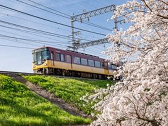 京阪線全線＆参道ケーブル1日フリーパス 京阪線全線が1日乗り放題！京阪沿線観光に最適な電子チケット ＜割引特典付き＞