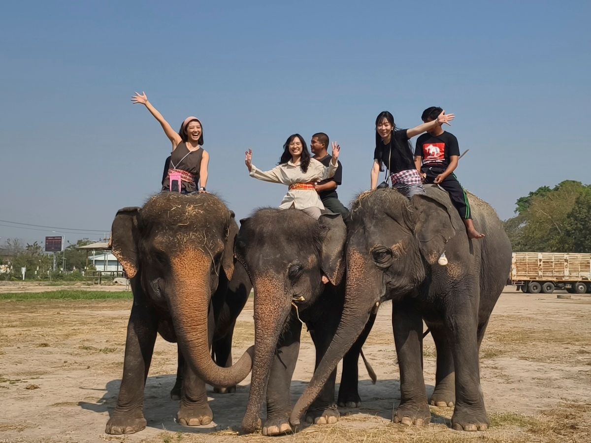エレファントケア（象のお世話） | バンコク 旅行の観光・オプショナル