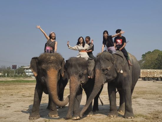 象乗り体験半日ツアー　水浴び＋餌やりなど象との触れ合いを楽しむ　子供連れにおすすめ！象に乗らないお散歩プランあり＜月・水・土／午前／昼食付プランあり／日本語＞