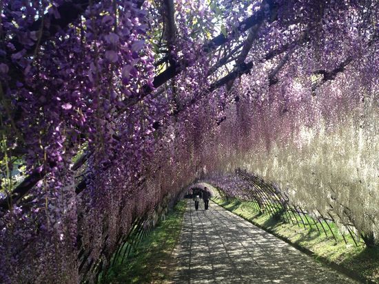 ダウンロード (1)