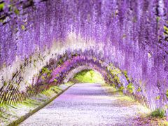 pixta_40209964_M