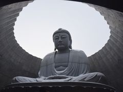 頭大仏1