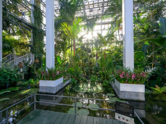 やなせたかし記念館＆牧野植物園セット券＜一般チケット／親子チケット＞（事前にセット券への引換必要）