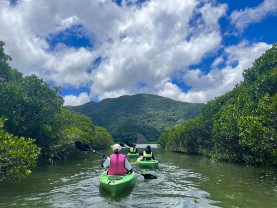 奄美大島【マングローブカヌー】ガイドツアーでしかめぐることのできない水路をご案内！撮影データプレゼント！お一人様も可能 by 奄美シーランド