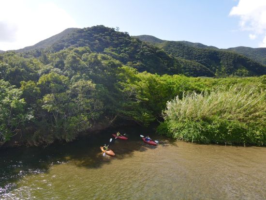 奄美大島【マングローブカヌー】ガイドツアーでしかめぐることのできない水路をご案内！撮影データプレゼント！お一人様も可能 by 奄美シーランド