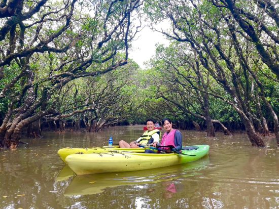 奄美大島〈お得なセットプラン〉【マングローブカヌー＋ナイトツアー 】奄美大島を満喫！ここでしか見られない希少な生き物を探しに行こう by 奄美シーランド 