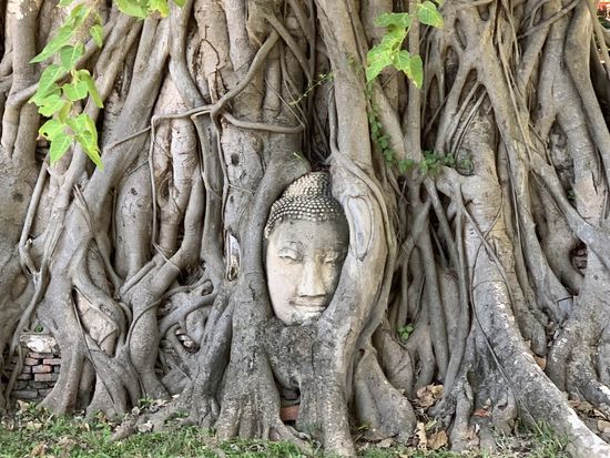 ワットマハタート2