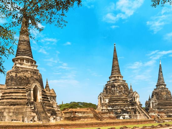 ワットプラシーサンペット1