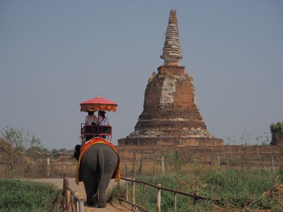 象乗り体験の様子2