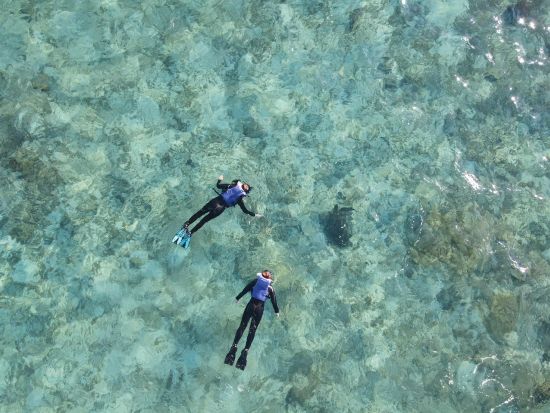 奄美大島【シュノーケリング】奄美大島の美しい水中世界を楽しもう！必要な器材込み ドローン撮影無料！お一人様も可能 by 奄美シーランド