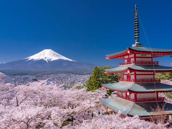 【英語対応可】東京発箱根富士山日帰りバスツアー　箱根海賊船乗船・忍野八海・天空の鳥居＆絶景神社新倉富士浅間神社＆ラーメン体験＆試食付＜1名催行／通年／新宿発＞