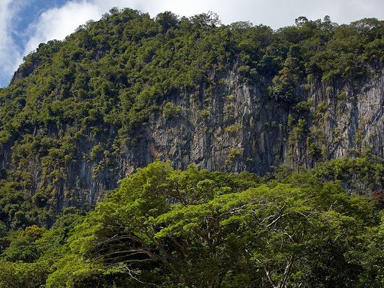 McLennan_Sigatoka_RS_2010_0022