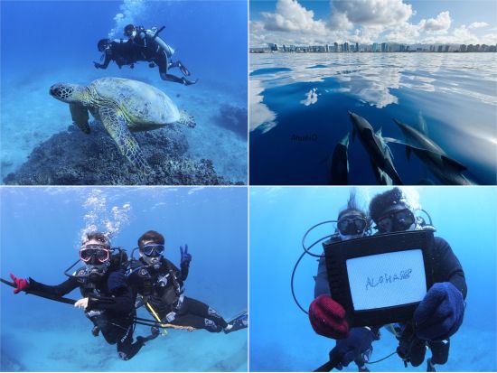 体験ダイビング  ワイキキまたはダイアモンドヘッド沖 ファンダイバーと潜れるプランもご用意＜ボート／1～2ダイブ＞by アロハナダイバーズ