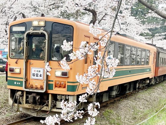 【ベルトラ限定】1日プライベートネイチャーガイドツアー　ベテランガイド1日貸切！世界遺産白神山地や十和田・八幡平国立公園など満喫＜通年/8時間/青森市内発着＞