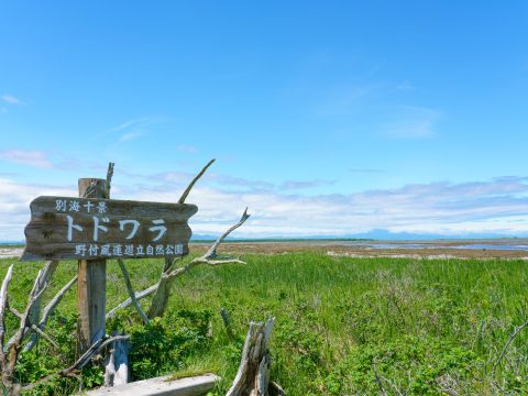 釧路湿原野付半島1日満喫ツアー 野付半島散策+釧路湿原　塘路湖+細岡展望台からのサンセットツアー＜4～6・10～12月／JR知床斜里駅発／斜里町＞