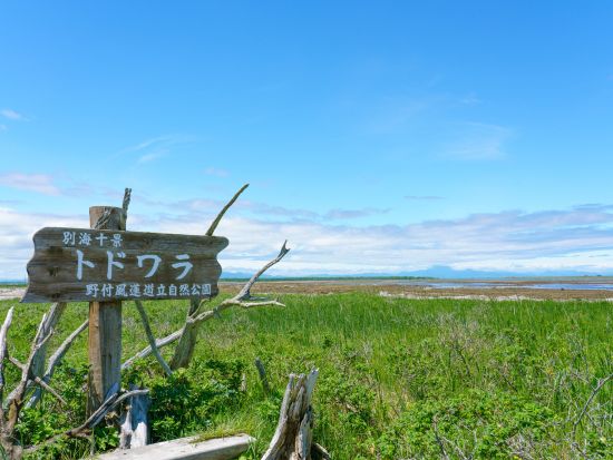 釧路湿原野付半島1日満喫ツアー 野付半島散策+釧路湿原　塘路湖+細岡展望台からのサンセットツアー＜4～6・10～12月／JR知床斜里駅発／斜里町＞