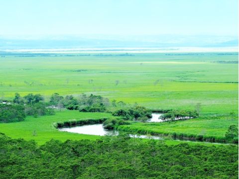 釧路湿原野付半島1日満喫ツアー 野付半島散策+釧路湿原　塘路湖+細岡展望台からのサンセットツアー＜4～6・10～12月／JR知床斜里駅発／斜里町＞