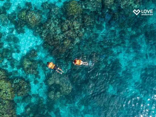 シュノーケリング2