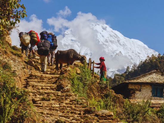 【カトマンズ発・2泊3日ツアー】ポカラ近郊トレッキングツアー＜国内線航空券込／日本語ガイド同行／食事付＞