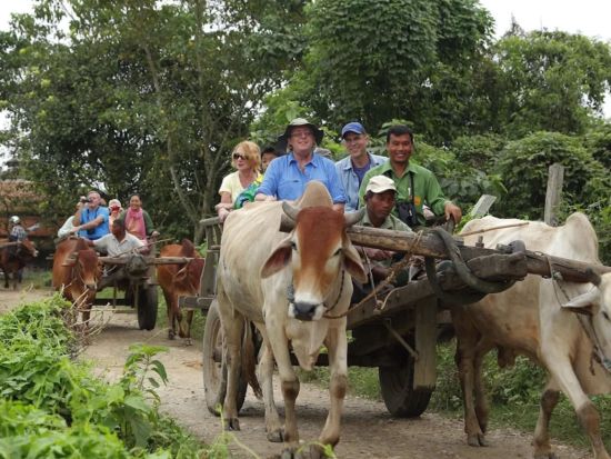 【2泊3日】象に乗ってジャングルを巡る！チトワン国立公園サファリツアー＜カトマンズ発＞