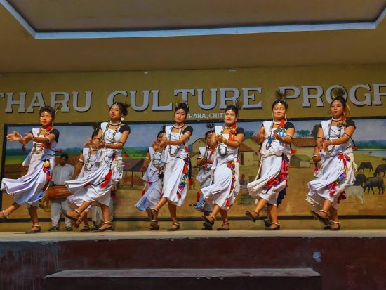 【2泊3日】象に乗ってジャングルを巡る！チトワン国立公園サファリツアー＜カトマンズ発＞
