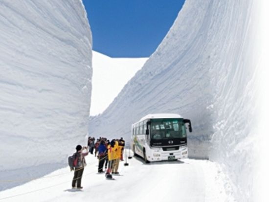名古屋発日帰りバスツアー 立山・室堂平 雪の大谷ウォーク　高さ20ｍ級の雪壁体感！＜期間限定／名古屋発着＞