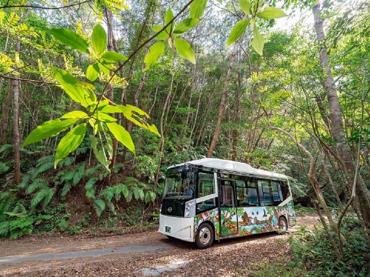 20250311020756_1368726593_1718