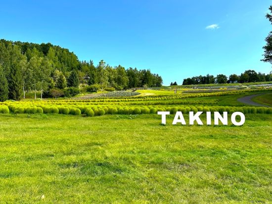 滝野すずらん丘陵公園 セグウェイツアー 札幌の大自然を満喫するひととき 写真データプレゼント！＜2.5時間／午前 or 午後／滝野＞