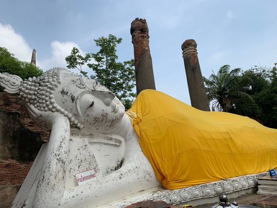 LINE_ALBUM_ベルトラ_250303_1