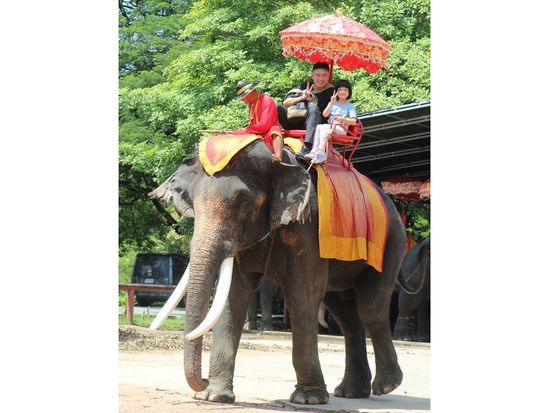 LINE_ALBUM_ベルトラ_250303_53