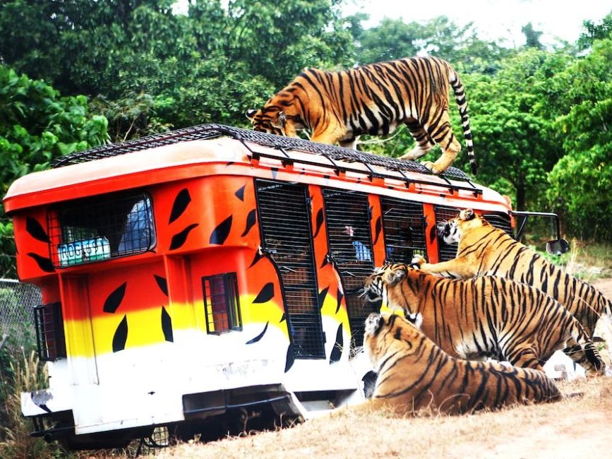 20250311101115_1504046683_1739