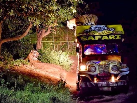 ズービック サファリ（Zoobic Safari）入場チケット事前予約＜1デーパス／マニラ＞