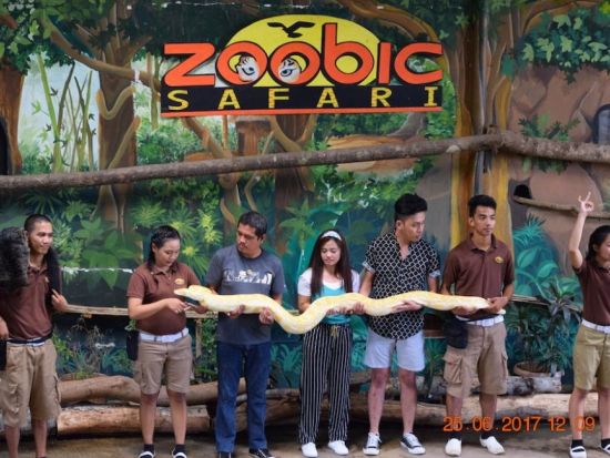 ズービック サファリ（Zoobic Safari）入場チケット事前予約＜1デーパス／マニラ＞