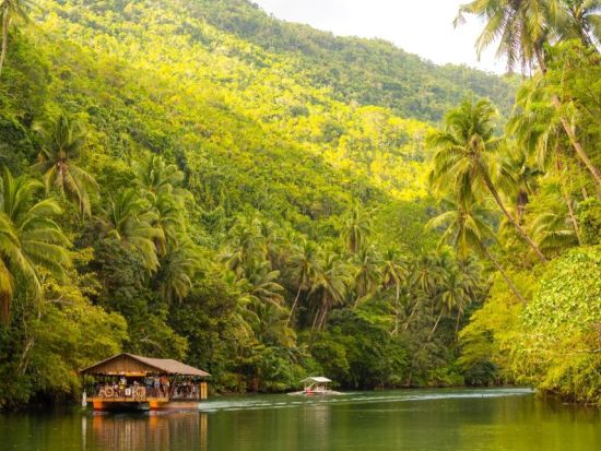 ロボック川サンセットSUPツアー！夜にはホタルに出会えるチャンスあり＜英語ガイド／ボホール島＞